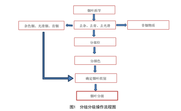 江西省煙葉分級(jí)技術(shù)規(guī)范3 DB36╱T 731-2018